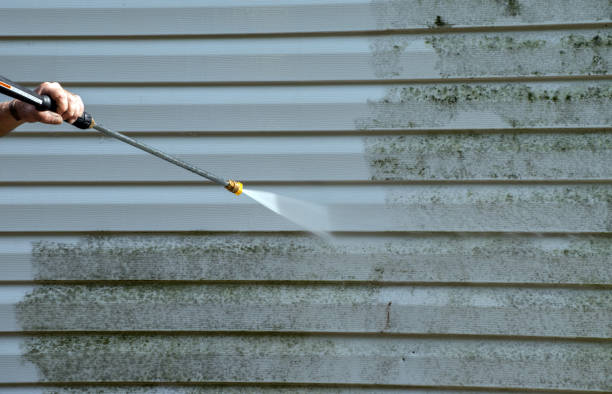 Roof Power Washing Services in Indian Lake, MO