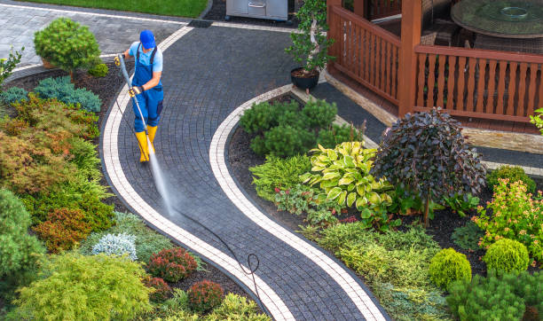 Best Affordable Power Washing  in Indian Lake, MO